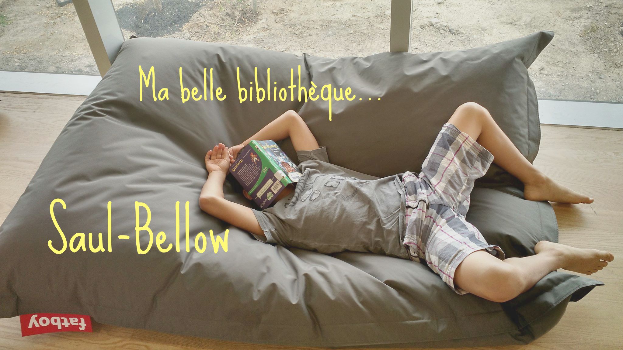 Ma belle bibliothèque : Saul-Bellow (Lachine)