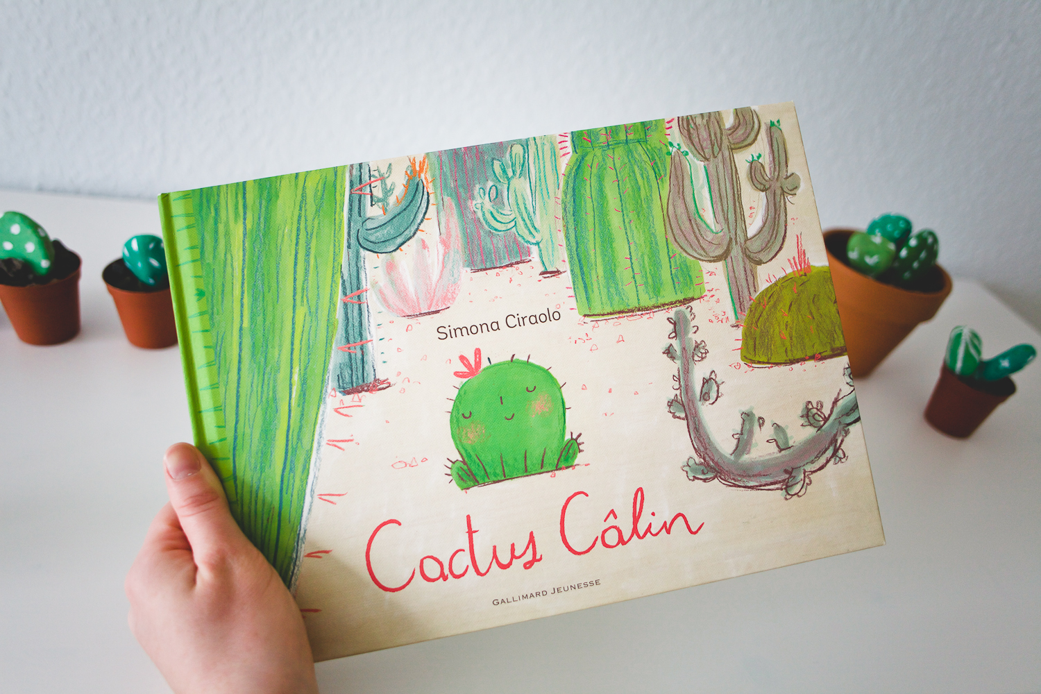 DIY + Cactus Câlin, un album sur l’amitié et la différence