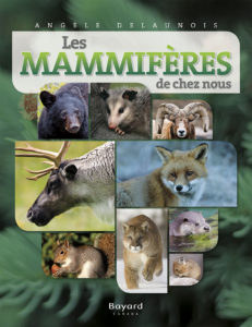 Les mammifères de chez nous - documentaires sur les animaux